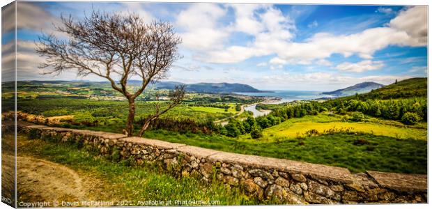 Majestic Flagstaff view over Warrenpoint Canvas Print by David McFarland
