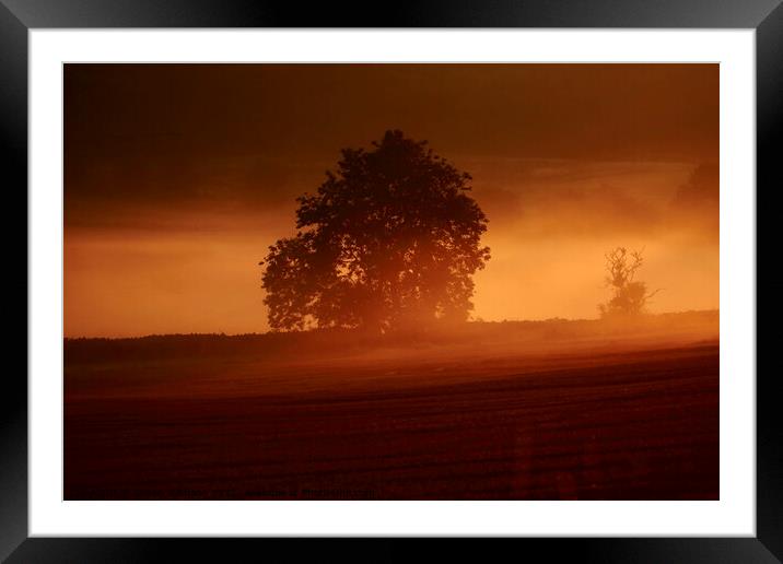 Misty sunrise  Framed Mounted Print by Simon Johnson