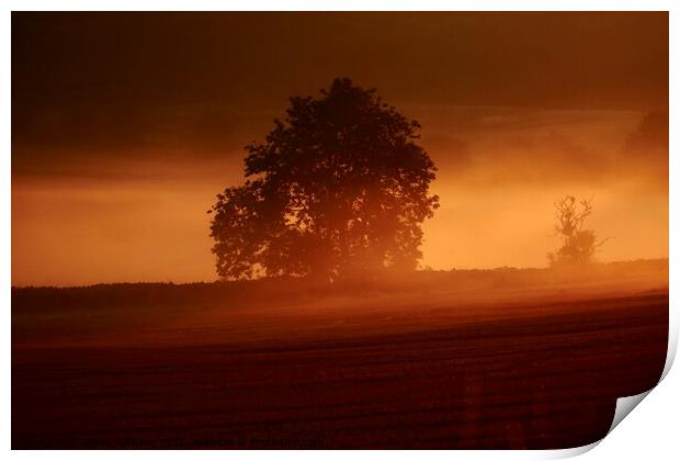 Misty sunrise  Print by Simon Johnson
