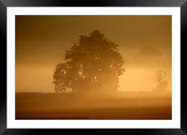 Morning Mist  Framed Mounted Print by Simon Johnson