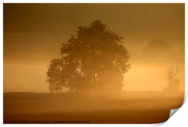 Morning Mist  Print by Simon Johnson