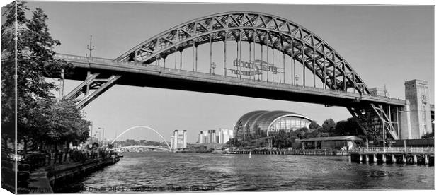 Tyne Bridges Monochrome Canvas Print by Michele Davis