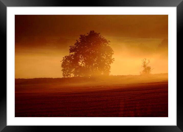 misty sunrise Framed Mounted Print by Simon Johnson