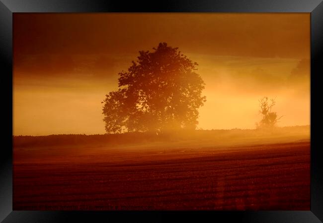 misty sunrise Framed Print by Simon Johnson