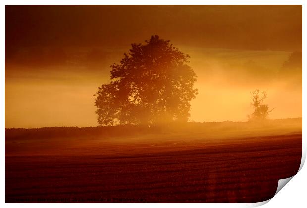 misty sunrise Print by Simon Johnson