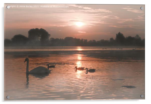 Swans in the mist Acrylic by Aimie Burley