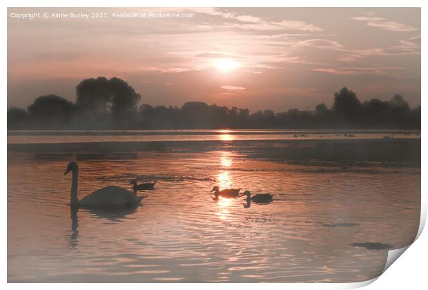 Swans in the mist Print by Aimie Burley