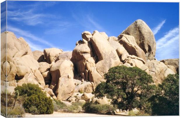 Joshua Tree Park Monoliths Canvas Print by Martin Baroch