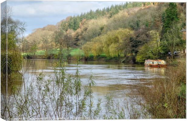 The Wye at Symonds Yat Canvas Print by Diana Mower