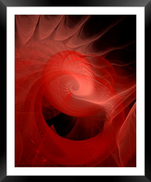 Red Sea Shell Abstract Art Framed Mounted Print by Maria Forrester
