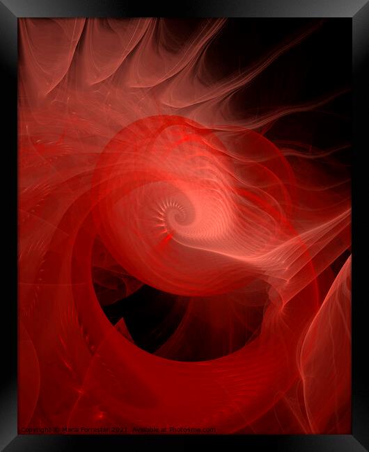 Red Sea Shell Abstract Art Framed Print by Maria Forrester