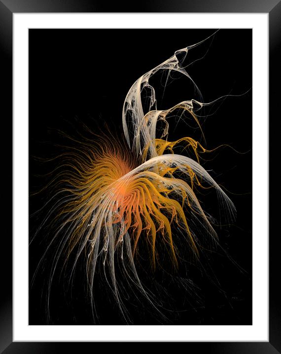 Sunflower Abstract Art Framed Mounted Print by Maria Forrester