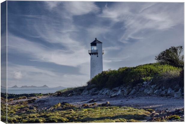 A lighthouse in Scotland  Canvas Print by christian maltby