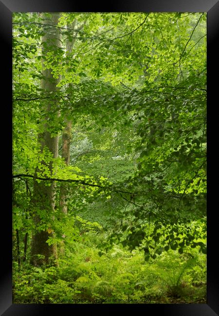 Woodland greens Framed Print by Simon Johnson