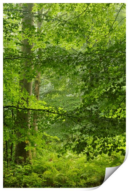 Woodland greens Print by Simon Johnson