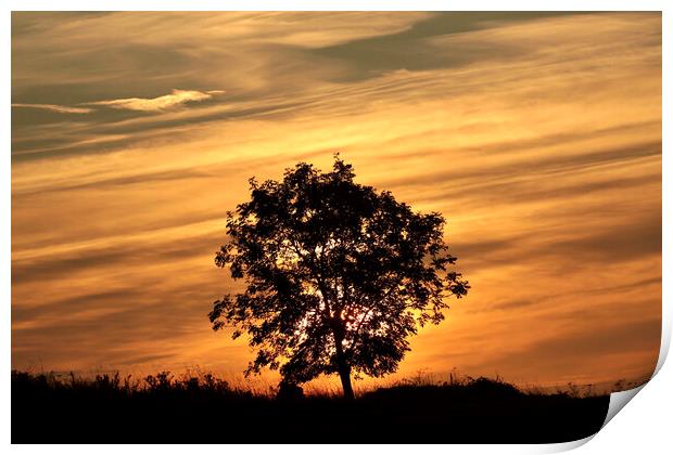 isolated tree silhouette against a sunrise sky Print by Simon Johnson