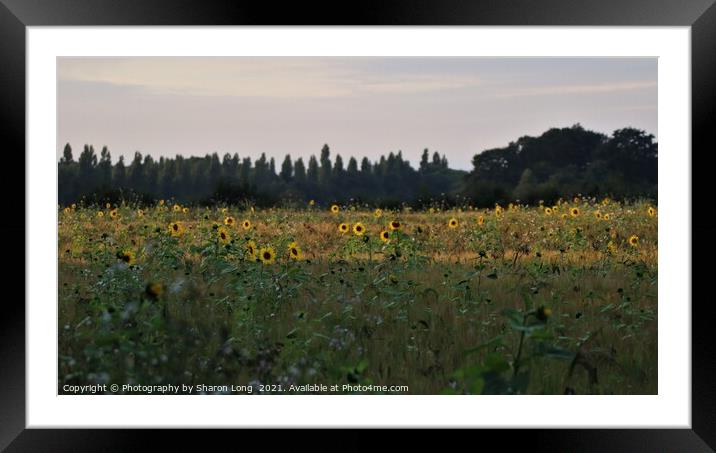 The Happy Field Framed Mounted Print by Photography by Sharon Long 