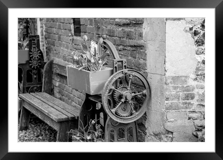 Outdoor plants and wooden bench Framed Mounted Print by Chris Yaxley