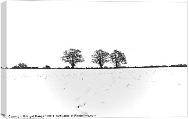 Three Trees Canvas Print by Nigel Bangert