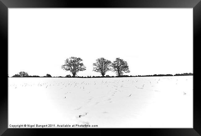 Three Trees Framed Print by Nigel Bangert