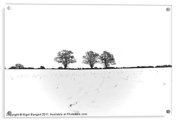 Three Trees Acrylic by Nigel Bangert