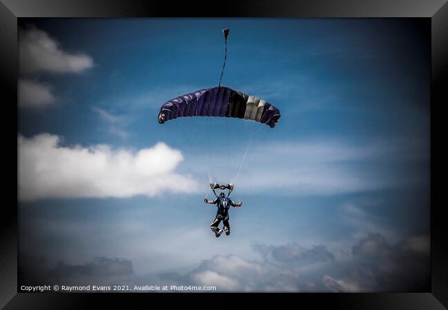 Skydiver parachutist descending  Framed Print by Raymond Evans