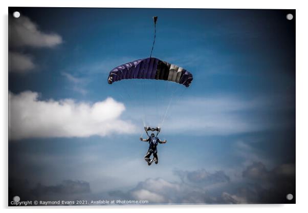 Skydiver parachutist descending  Acrylic by Raymond Evans
