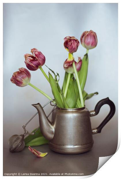 Tulips Still Life  Print by Larisa Siverina