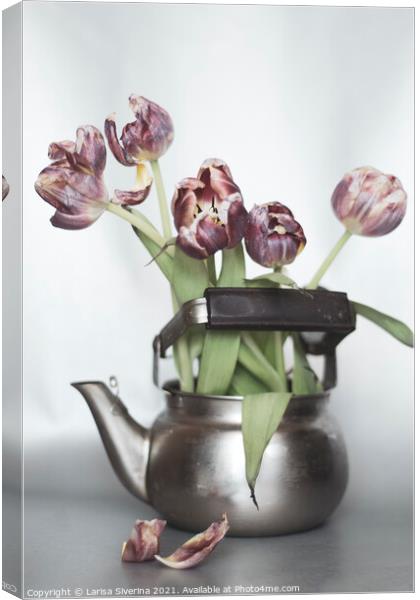 Tulip bouquet Canvas Print by Larisa Siverina