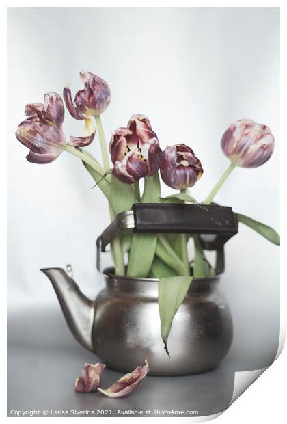 Tulip bouquet Print by Larisa Siverina