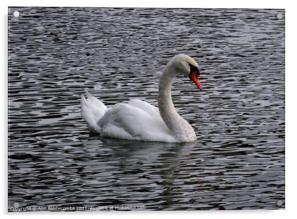 A white swan on a wavy river Acrylic by Ann Biddlecombe