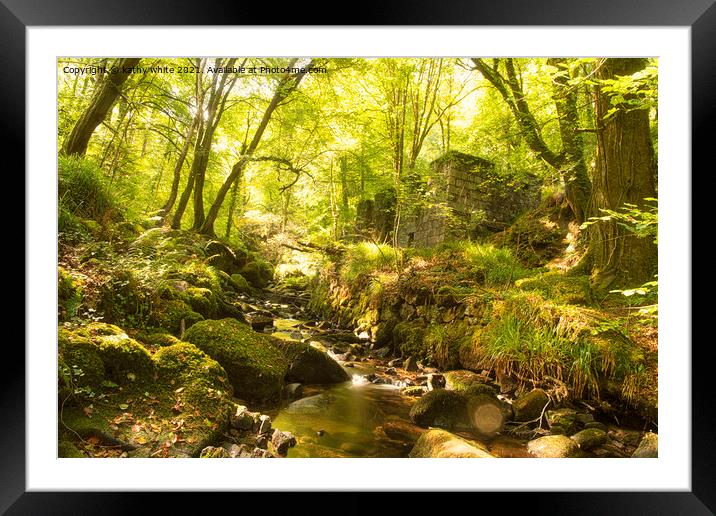 kennal vale woods Framed Mounted Print by kathy white