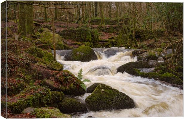 Kennall vale woods Cornwall Canvas Print by kathy white