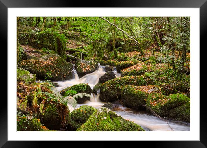 kennall vale ,Cornwall Framed Mounted Print by kathy white