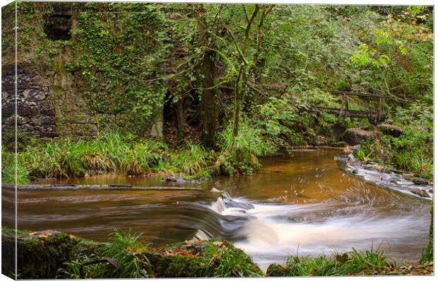 kennal vale woods waterfall Canvas Print by kathy white