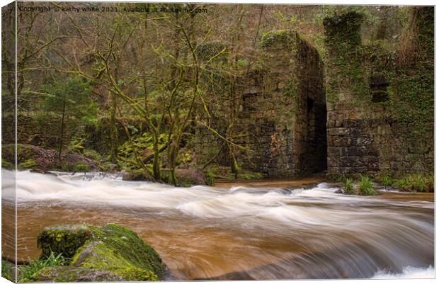 kennal vale Cornwall Canvas Print by kathy white