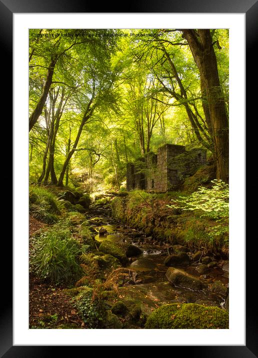 kennall vale woods Framed Mounted Print by kathy white