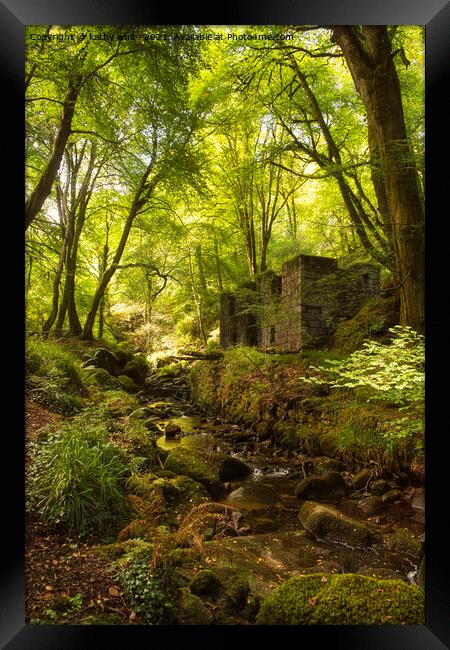 kennall vale woods Framed Print by kathy white
