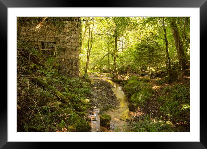 kennal vale woods secret pond Framed Mounted Print by kathy white