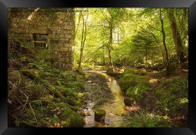 kennal vale woods secret pond Framed Print by kathy white