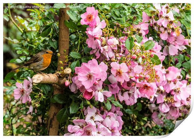 Robin in the rose tree Print by kathy white