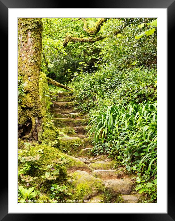 Enchanted Woodland Path Framed Mounted Print by Dudley Wood