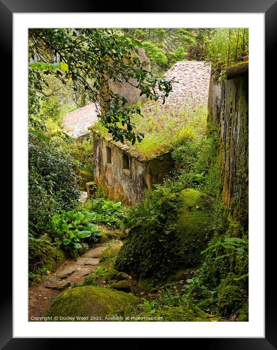 Enchanted Stone Cottage Framed Mounted Print by Dudley Wood