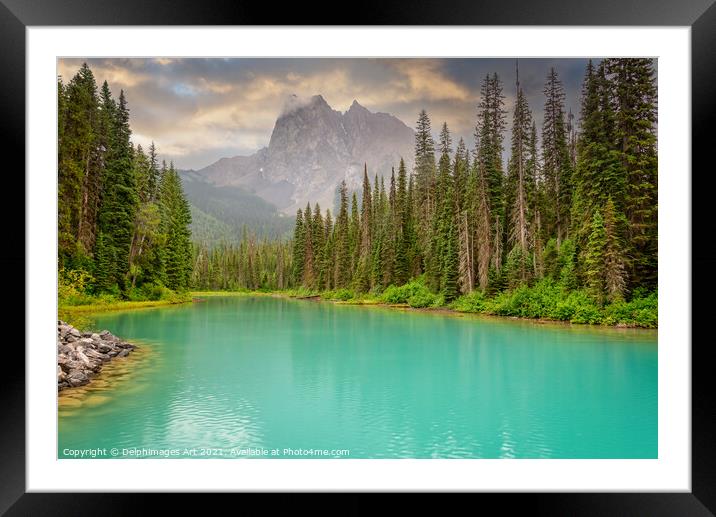 Canada. Emerald lake landscape, Yoho national park Framed Mounted Print by Delphimages Art