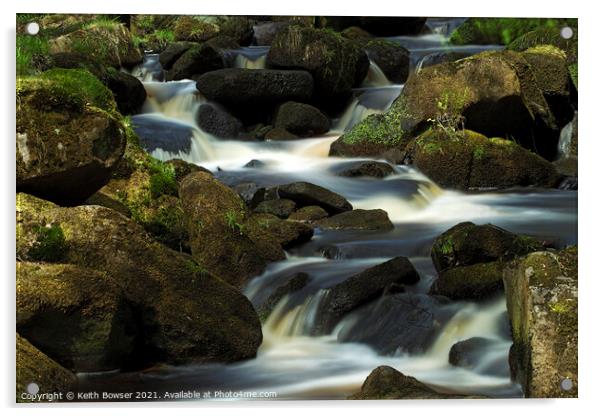 Padley Gorge Burbage brook Acrylic by Keith Bowser