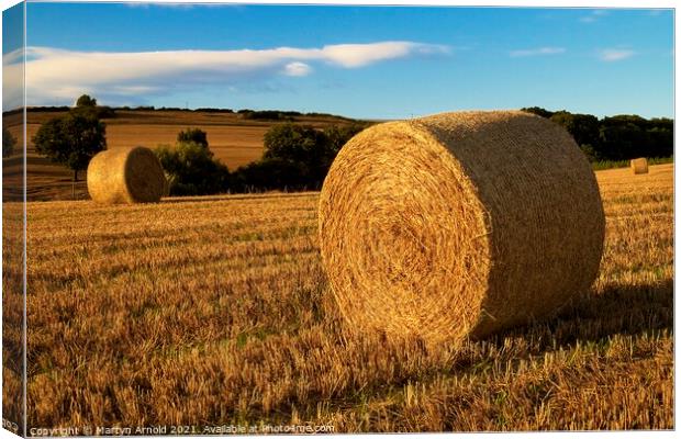 Autumn Haybales Canvas Print by Martyn Arnold