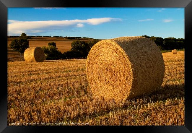 Autumn Haybales Framed Print by Martyn Arnold