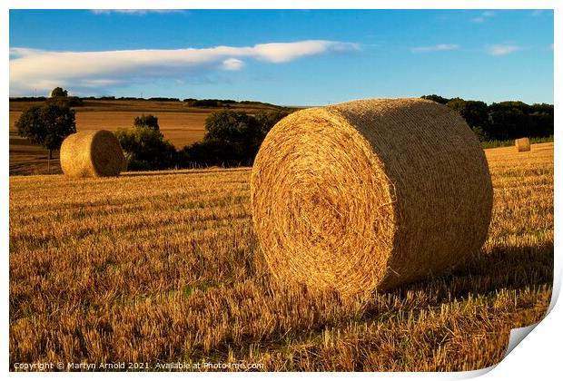 Autumn Haybales Print by Martyn Arnold