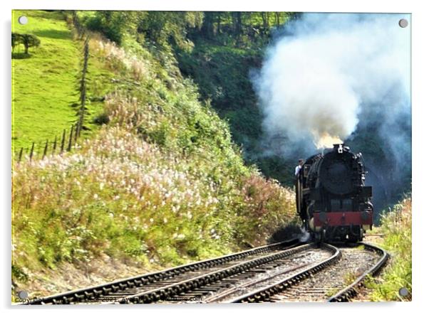 Majestic Steam Engine Emerging from a Lush Tunnel Acrylic by Mark Chesters