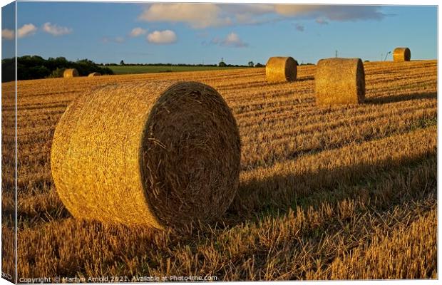 Golden Sunset over Haybales Canvas Print by Martyn Arnold